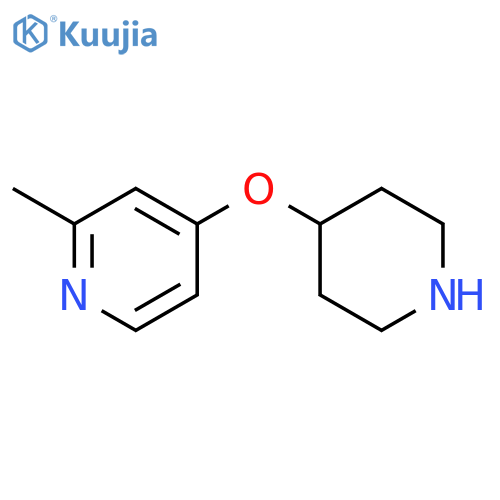 2-methyl-4-(piperidin-4-yloxy)pyridine structure