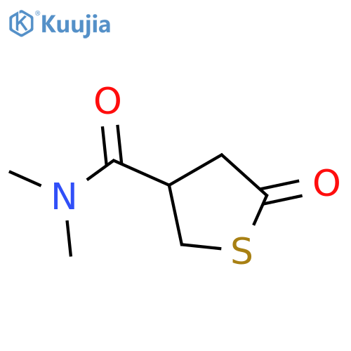 N,N-dimethyl-5-oxothiolane-3-carboxamide structure