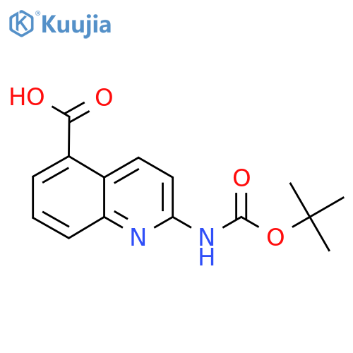 2-Tert-Butoxycarbonylamino-quinoline-5-carboxylic acid structure