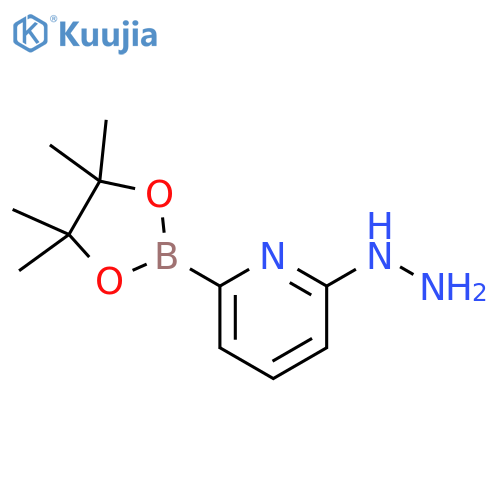 Pyridine, 2-hydrazinyl-6-(4,4,5,5-tetramethyl-1,3,2-dioxaborolan-2-yl)- structure