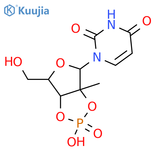 2'-C-Methyluridine; 2',3'-Cyclic phosphate structure