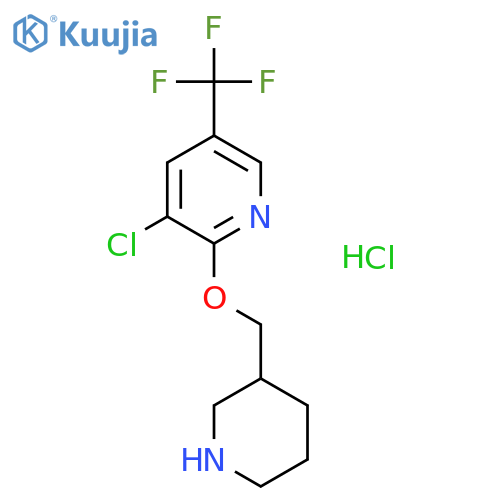 3-Chloro-2-(piperidin-3-ylmethoxy)-5-(trifluoromethyl)pyridine hydrochloride structure