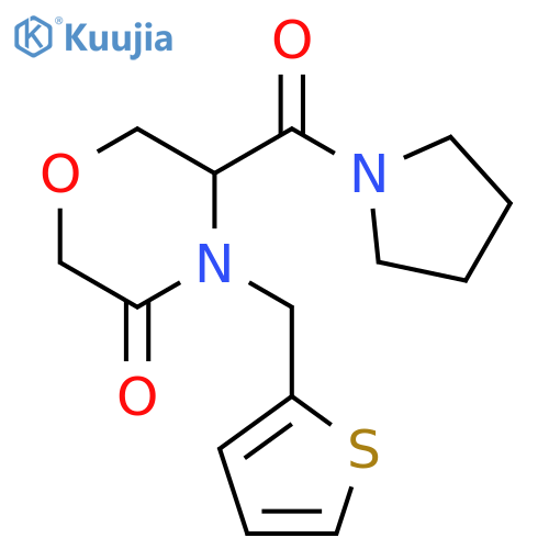 5-(pyrrolidine-1-carbonyl)-4-[(thiophen-2-yl)methyl]morpholin-3-one structure