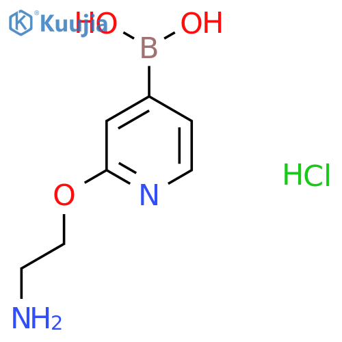 (2-(2-Aminoethoxy)pyridin-4-yl)boronic acid hydrochloride structure