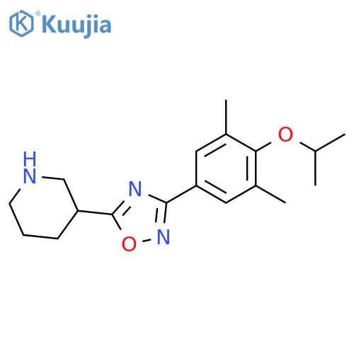3-[3-(4-Isopropoxy-3,5-dimethyl-phenyl)-[1,2,4]oxadiazol-5-yl]-piperidine structure