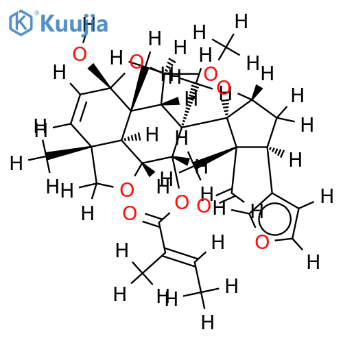 walsogyne B structure