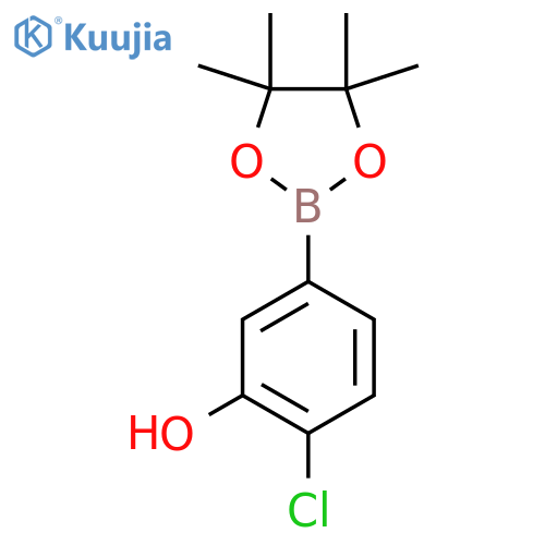2-Chloro-5-(4,4,5,5-tetramethyl-1,3,2-dioxaborolan-2-YL)phenol structure