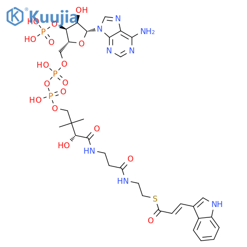 Coenzyme A, S-[(2E)-3-(1H-indol-3-yl)-2-propenoate] (9CI) structure