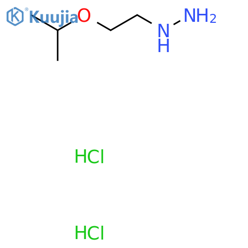 2-(propan-2-yloxy)ethylhydrazine dihydrochloride structure