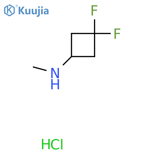 3,3-difluoro-N-methyl-cyclobutanamine;hydrochloride structure