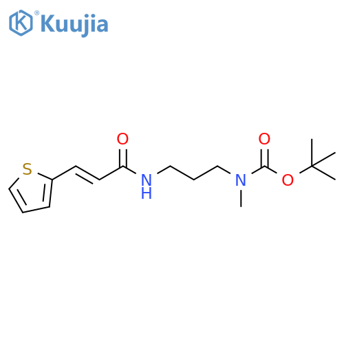 1,1-Dimethylethyl Ester N-Methyl-N-3-(2E)-1-oxo-3-(2-thienyl)-2-propen-1-ylaminopropylcarbamic Acid structure
