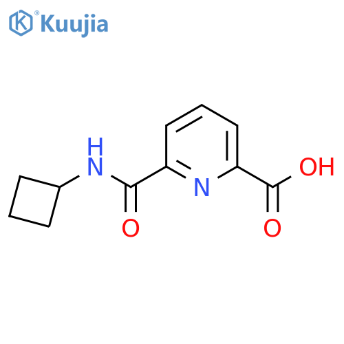 6-(Cyclobutylcarbamoyl)pyridine-2-carboxylic acid structure