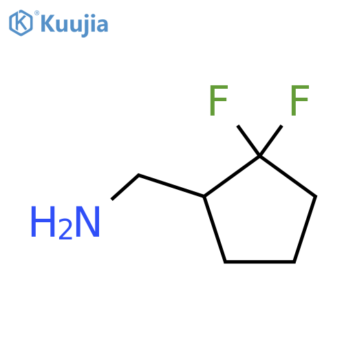 1-(2,2-difluorocyclopentyl)methanamine structure