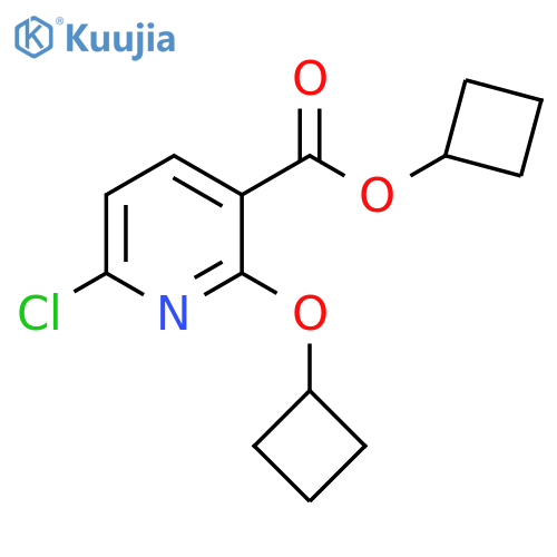 cyclobutyl 6-chloro-2-cyclobutoxypyridine-3-carboxylate structure