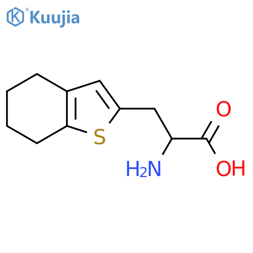 2-amino-3-(4,5,6,7-tetrahydro-1-benzothiophen-2-yl)propanoic acid structure