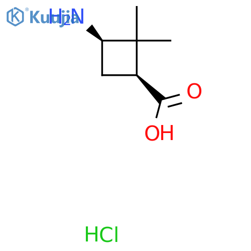(1S,3R)-3-amino-2,2-dimethylcyclobutane-1-carboxylic acid hydrochloride structure