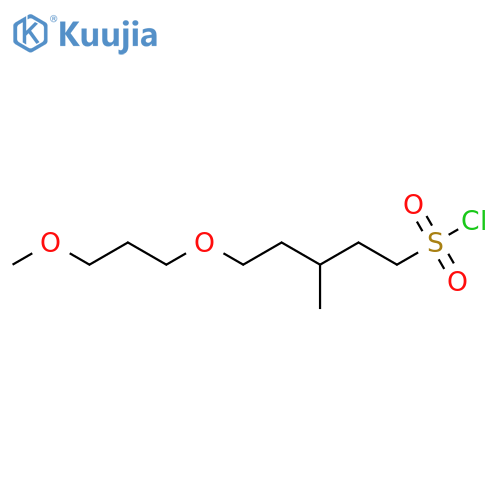 5-(3-methoxypropoxy)-3-methylpentane-1-sulfonyl chloride structure