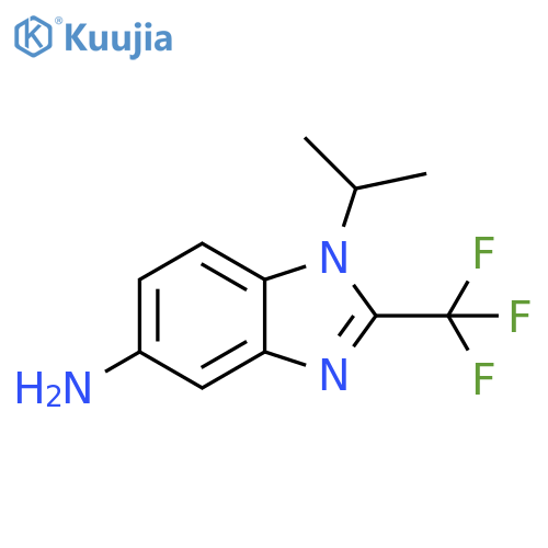 1-(propan-2-yl)-2-(trifluoromethyl)-1H-1,3-benzodiazol-5-amine structure