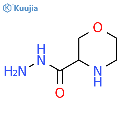 Morpholine-3-carbohydrazide structure