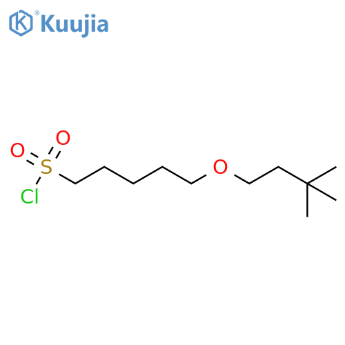 5-(3,3-dimethylbutoxy)pentane-1-sulfonyl chloride structure
