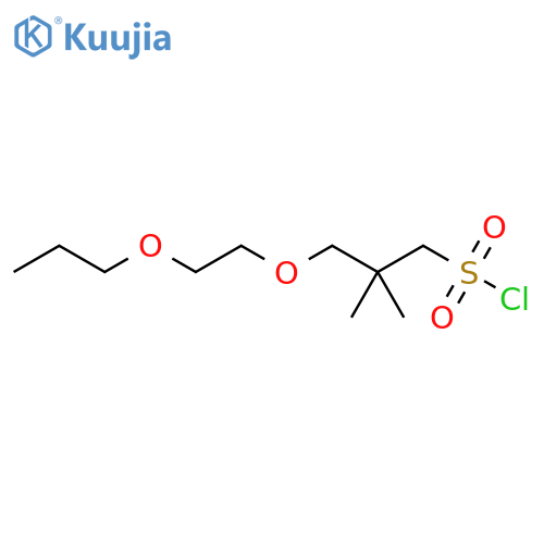 2,2-dimethyl-3-(2-propoxyethoxy)propane-1-sulfonyl chloride structure