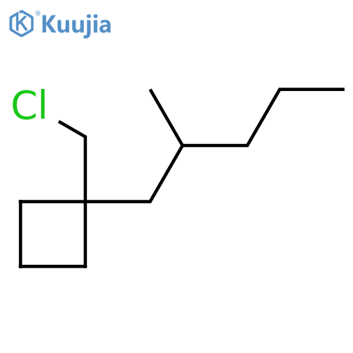 Cyclobutane, 1-(chloromethyl)-1-(2-methylpentyl)- structure