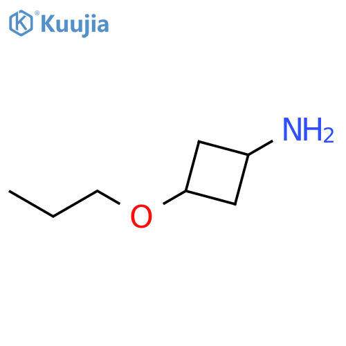 3-propoxycyclobutan-1-amine structure