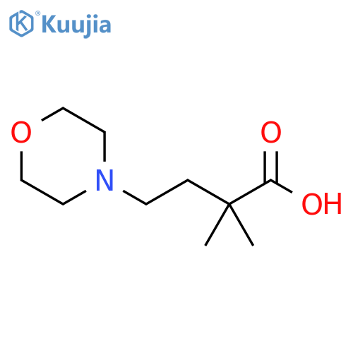 2,2-dimethyl-4-(morpholin-4-yl)butanoic acid structure