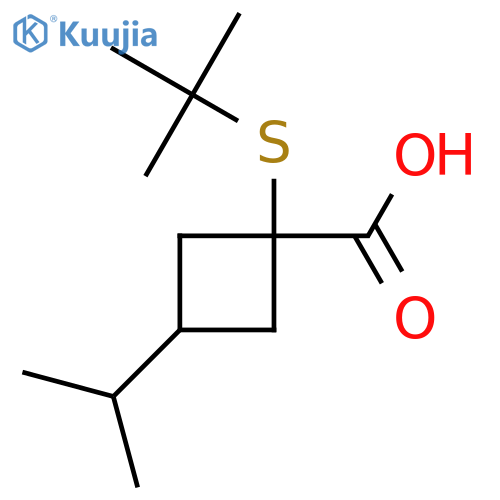 1-(tert-butylsulfanyl)-3-(propan-2-yl)cyclobutane-1-carboxylic acid structure