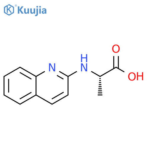 2-(quinolin-2-yl)aminopropanoic acid structure