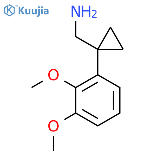 1-(2,3-dimethoxyphenyl)cyclopropylmethanamine structure