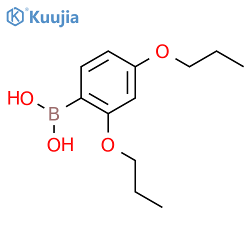 2,4-Dipropoxyphenylboronic acid structure