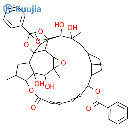 Trigothysoid O structure
