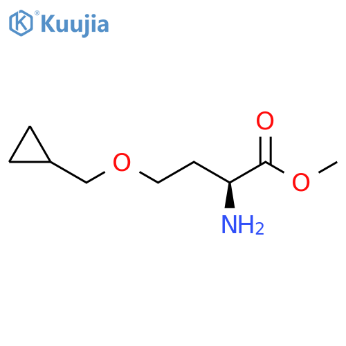 methyl 2-amino-4-(cyclopropylmethoxy)butanoate structure