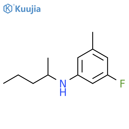 3-fluoro-5-methyl-N-(pentan-2-yl)aniline structure