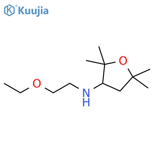 N-(2-ethoxyethyl)-2,2,5,5-tetramethyloxolan-3-amine structure
