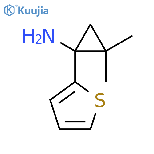 2,2-dimethyl-1-(thiophen-2-yl)cyclopropan-1-amine structure