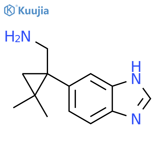 1-(1H-1,3-benzodiazol-5-yl)-2,2-dimethylcyclopropylmethanamine structure