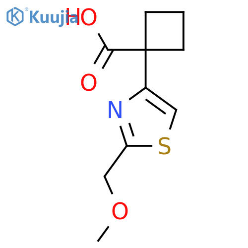 1-2-(methoxymethyl)-1,3-thiazol-4-ylcyclobutane-1-carboxylic acid structure