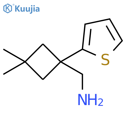 (3,3-dimethyl-1-(thiophen-2-yl)cyclobutyl)methanamine structure