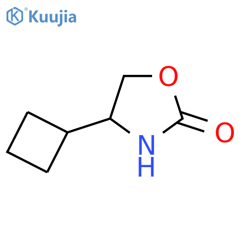 4-cyclobutyl-1,3-oxazolidin-2-one structure