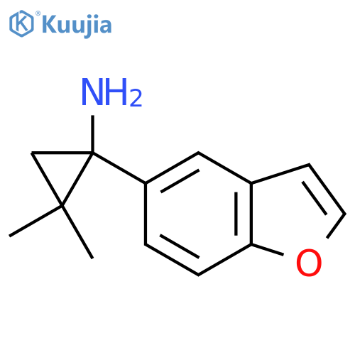 1-(1-benzofuran-5-yl)-2,2-dimethylcyclopropan-1-amine structure