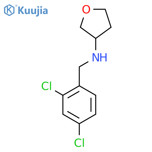 N-[(2,4-Dichlorophenyl)methyl]oxolan-3-amine structure