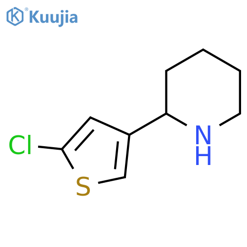 2-(5-chlorothiophen-3-yl)piperidine structure