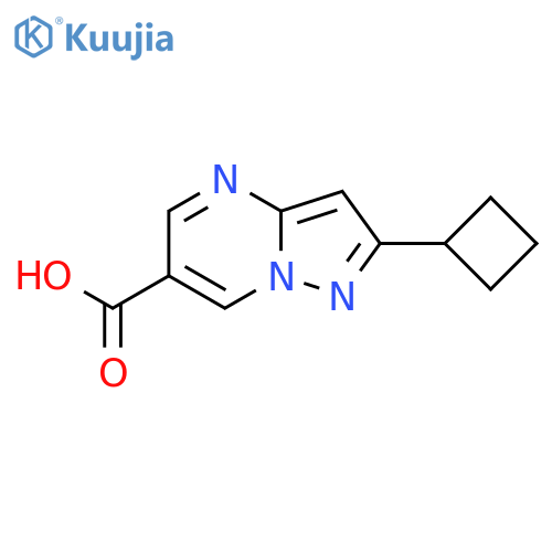 2-Cyclobutylpyrazolo[1,5-a]pyrimidine-6-carboxylic acid structure
