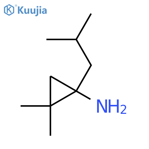 2,2-dimethyl-1-(2-methylpropyl)cyclopropan-1-amine structure