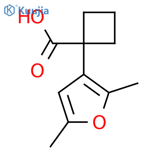 1-(2,5-dimethylfuran-3-yl)cyclobutane-1-carboxylic acid structure
