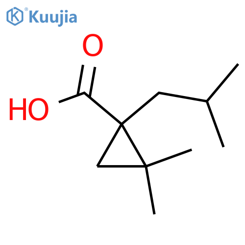 2,2-dimethyl-1-(2-methylpropyl)cyclopropane-1-carboxylic acid structure