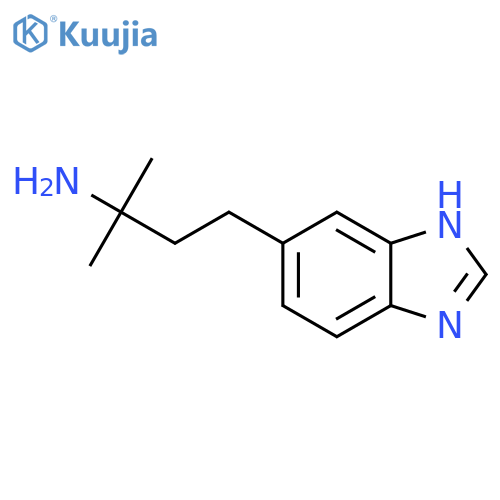4-(1H-1,3-benzodiazol-5-yl)-2-methylbutan-2-amine structure
