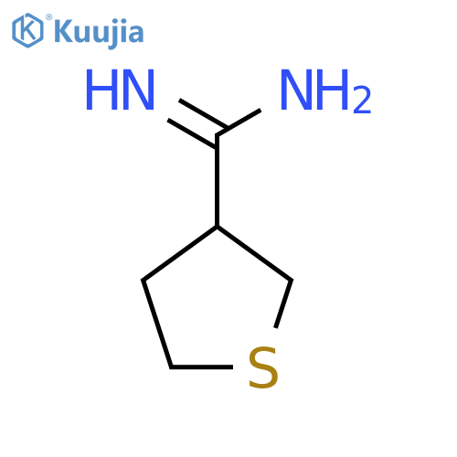 thiolane-3-carboximidamide structure